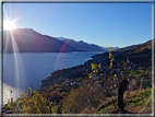 foto Lago di Como